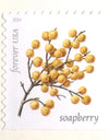2019 USPS Winter Berries First Class Forever Postage Stamps，Sheet of 16  1set=5Sheets  Was $73.00/set