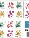 2019 USPS Winter Berries First Class Forever Postage Stamps，Sheet of 16  1set=5Sheets  Was $73.00/set