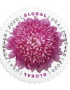 2020 USPS Global Forever International Postage Stamps 1set=5Sheets  Was $73.00/set