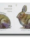 2021 Brush Rabbit Additional Ounce Forever Postage Stamps 1set=5Sheets  Was $73.00/set
