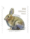 2021 Brush Rabbit Additional Ounce Forever Postage Stamps 1set=5Sheets  Was $73.00/set
