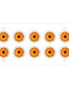 2022 USPS Global Forever International Mail African Daisy Postage Stamps 1set=5Sheets  Was $73.00/set