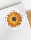 2022 USPS Global Forever International Mail African Daisy Postage Stamps 1set=5Sheets  Was $73.00/set