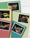 2023 US Endangered Species First Class Postage Forever Stamps 1set=5Sheets  Was $73.00/set