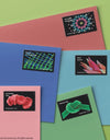 2023 Life Magnified Forever Postage Stamps Explores Life on Earth 1set=5Sheets  Was $73.00/set