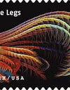 2023 Life Magnified Forever Postage Stamps Explores Life on Earth 1set=5Sheets  Was $73.00/set