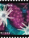 2023 Life Magnified Forever Postage Stamps Explores Life on Earth 1set=5Sheets  Was $73.00/set
