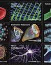 2023 Life Magnified Forever Postage Stamps Explores Life on Earth 1set=5Sheets  Was $73.00/set