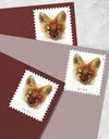 2023 US Red Fox Forever Stamps 1set=5Sheets  Was $73.00/set