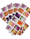 2023 US Tulip Blossoms First-Class Forever Stamps 1set=5Sheets  Was $73.00/set