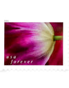 2023 US Tulip Blossoms First-Class Forever Stamps 1set=5Sheets  Was $73.00/set