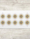 2025 Global1794 Compass Rose Stamps Sheet of 10