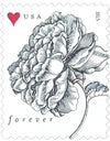 2015 Vintage Rose Pane Wedding Forever Postage Stamps 1set=5Sheets  Was $73.00/set